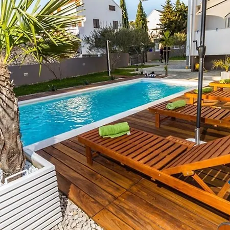 Turritella * Biograd Na Moru